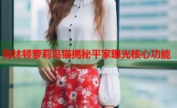 克林顿萝莉岛猫揭秘平家曝光核心功能