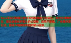 Sora平台以其强大的文本转视频能力为核心，突出生成高质量、复杂场景和多镜头的长视频，适用于影视、广告等创意行业，推动AI视频创作的创新与普及