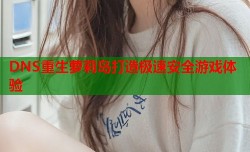 DNS重生萝莉岛打造极速安全游戏体验