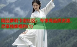 精品萝莉卡密社区：专享高品质资源，尽享独家福利(1)