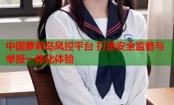 中国萝莉岛风控平台 打造安全监管与举报一体化体验