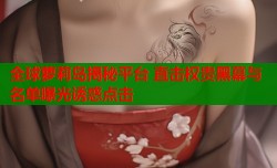 全球萝莉岛揭秘平台 直击权贵黑幕与名单曝光诱惑点击