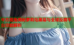 中方视角揭秘萝莉岛黑幕与全球反腐平台功能解析