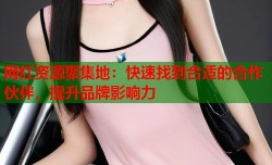网红资源聚集地：快速找到合适的合作伙伴，提升品牌影响力