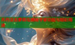 乔丹没去萝莉岛揭秘平家功能与精彩用途