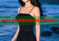 全球大爆炸萝莉岛权贵社交揭秘平台