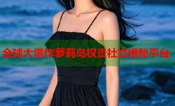 全球大爆炸萝莉岛权贵社交揭秘平台