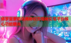 佛罗里萝莉岛揭秘权贵隐秘交易平台核心功能曝光