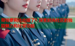 哥特萝莉社出错了？探索时尚社区的独特魅力和社交功能