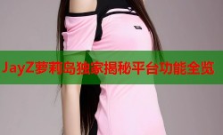 JayZ萝莉岛独家揭秘平台功能全览