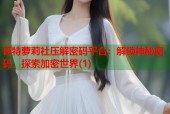 哥特萝莉社压解密码平台：解锁神秘密码，探索加密世界(1)