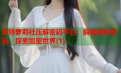哥特萝莉社压解密码平台：解锁神秘密码，探索加密世界(1)
