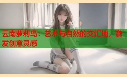 云南萝莉岛：艺术与自然的交汇地，激发创意灵感