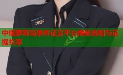 中缅萝莉岛事件证言平台揭秘真相与证据共享
