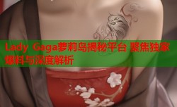 Lady Gaga萝莉岛揭秘平台 聚焦独家爆料与深度解析