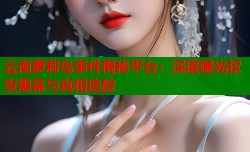 云南萝莉岛事件揭秘平台：深度曝光权贵黑幕与真相追踪