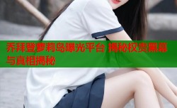 乔拜登萝莉岛曝光平台 揭秘权贵黑幕与真相揭秘