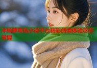 冲绳萝莉岛小说平台精彩阅读体验尽在掌握