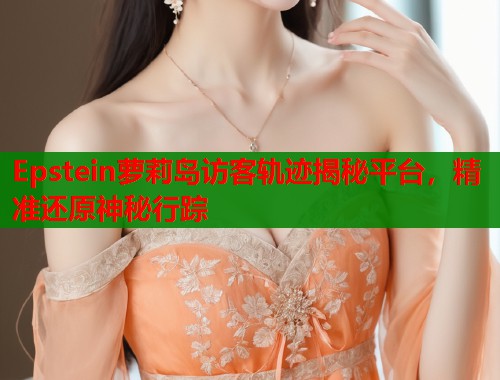 Epstein萝莉岛访客轨迹揭秘平台，精准还原神秘行踪  第2张