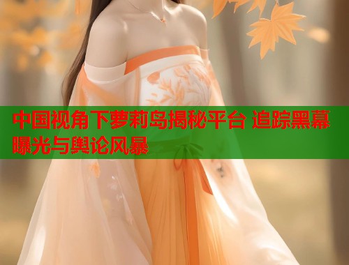 中国视角下萝莉岛揭秘平台 追踪黑幕曝光与舆论风暴  第1张