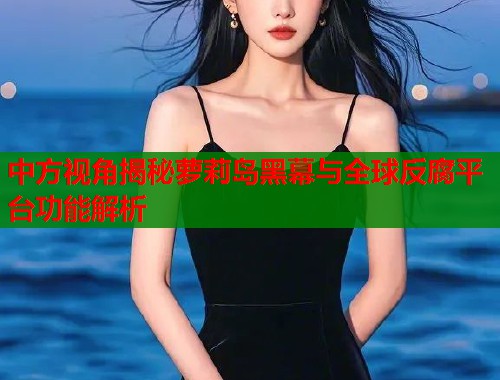 中方视角揭秘萝莉岛黑幕与全球反腐平台功能解析  第2张