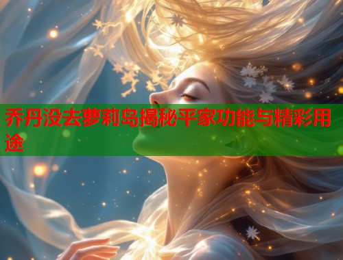 乔丹没去萝莉岛揭秘平家功能与精彩用途  第1张