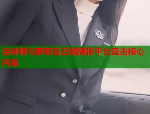 克林顿与萝莉岛丑闻揭秘平台直击核心内幕  第1张