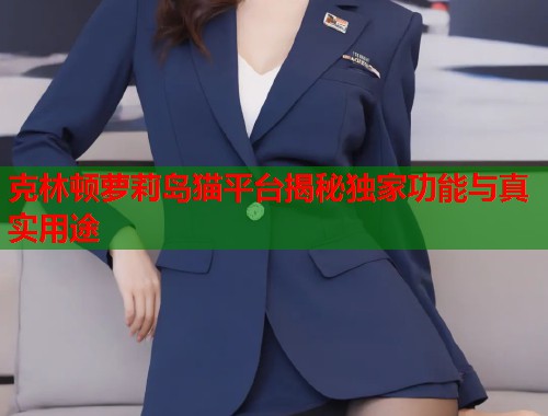 克林顿萝莉岛猫平台揭秘独家功能与真实用途  第1张