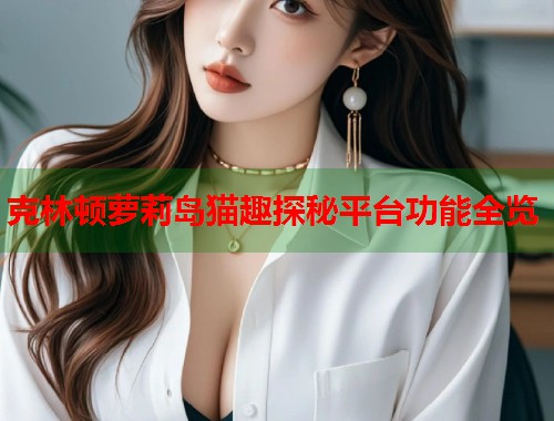 克林顿萝莉岛猫趣探秘平台功能全览  第1张