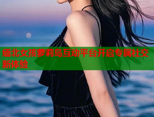 缅北女孩萝莉岛互动平台开启专属社交新体验  第2张