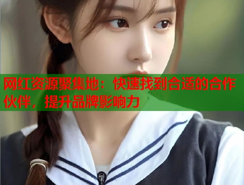 网红资源聚集地：快速找到合适的合作伙伴，提升品牌影响力  第2张