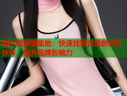 网红资源聚集地：快速找到合适的合作伙伴，提升品牌影响力  第1张