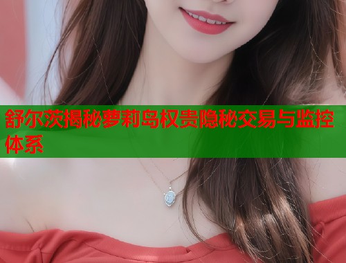 舒尔茨揭秘萝莉岛权贵隐秘交易与监控体系  第2张