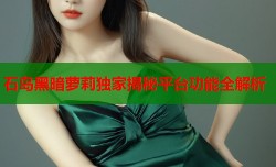 石岛黑暗萝莉独家揭秘平台功能全解析