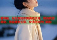 爱导航，轻松找到你需要的资源，精选优质网站，智能搜索引擎，快速访问热门网址