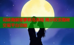 司徒南解密萝莉岛真相 揭示权贵隐秘交易平台功能