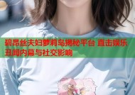 碧昂丝夫妇萝莉岛揭秘平台 直击娱乐丑闻内幕与社交影响
