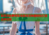 磊哥洗地萝莉岛全能清洁神器轻松打造洁净空间