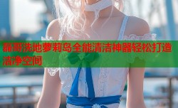 磊哥洗地萝莉岛全能清洁神器轻松打造洁净空间
