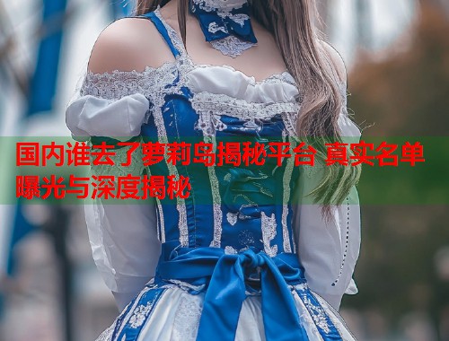 国内谁去了萝莉岛揭秘平台 真实名单曝光与深度揭秘  第2张